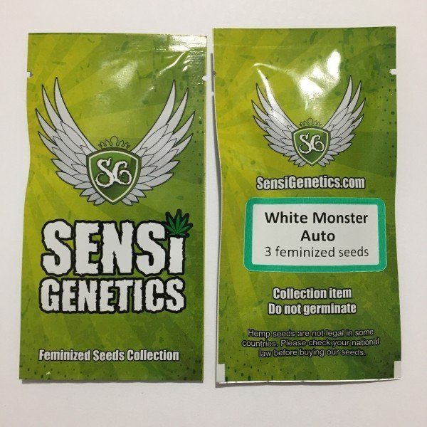 White Monster Auto - SENSI GENETICS | TanieSianie.pl