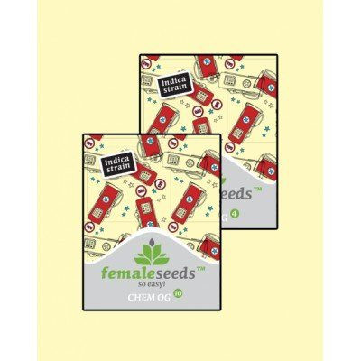 Chem OG - FEMALE SEEDS | TanieSianie.pl