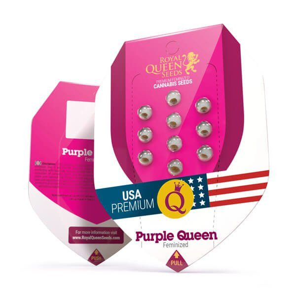 Purple Queen - ROYAL QUEEN SEEDS | TanieSianie.pl