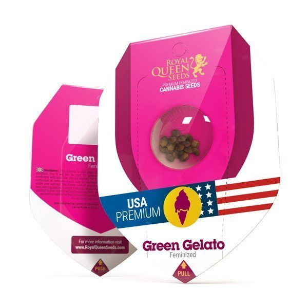 Green Gelato - ROYAL QUEEN SEEDS | TanieSianie.pl