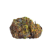 Green Gelato - ROYAL QUEEN SEEDS | TanieSianie.pl