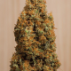 Green Crack CBD - HUMBOLDT SEED | TanieSianie.pl