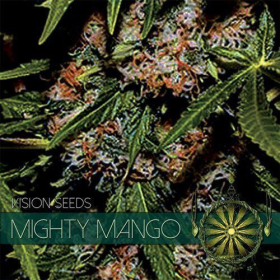 Mighty Mango Bud - Vision Seeds | TanieSianie.pl