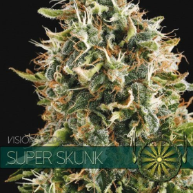 Super Skunk - Vision Seeds | TanieSianie.pl