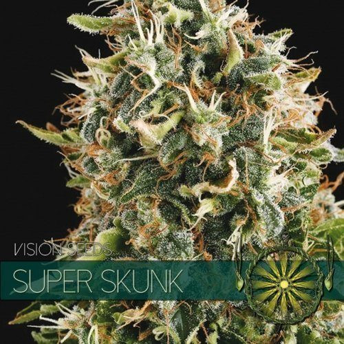 Super Skunk - Vision Seeds | TanieSianie.pl