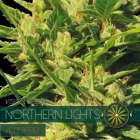 Northern Lights Auto - Vision Seeds | TanieSianie.pl