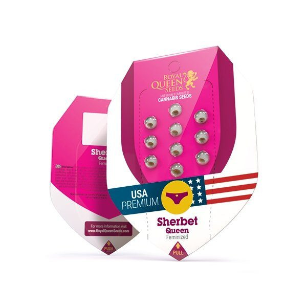 Sherbet Queen - ROYAL QUEEN SEEDS | TanieSianie.pl