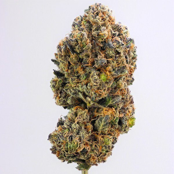 Sweet Zkittlez - ROYAL QUEEN SEEDS | TanieSianie.pl