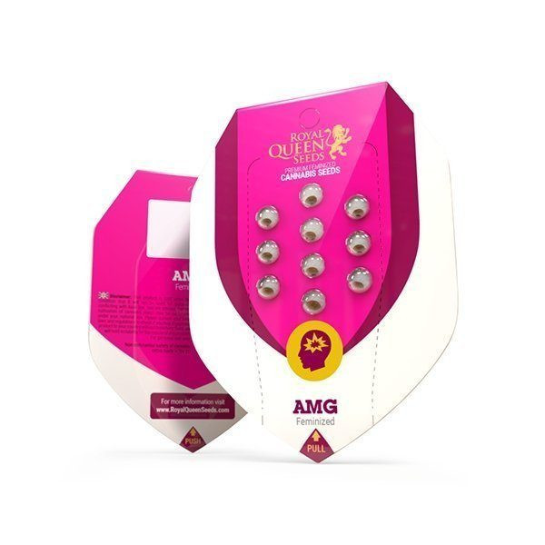 AMG Amnesia Mac Ganja - ROYAL QUEEN SEEDS | TanieSianie.pl
