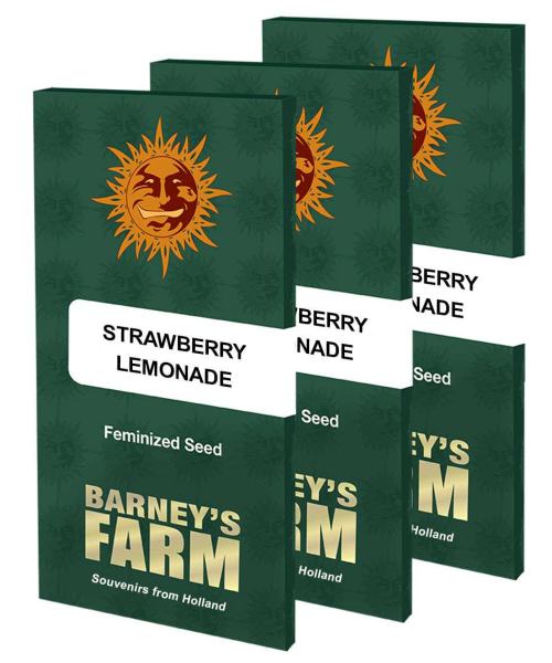 Strawberry Lemonade - BARNEY'S FARM | TanieSianie.pl
