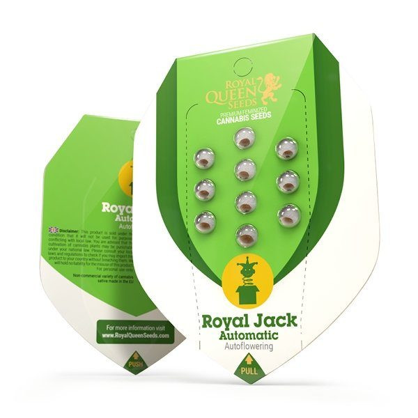 Royal Jack Automatic - ROYAL QUEEN SEEDS | TanieSianie.pl