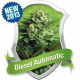 Diesel Automatic - ROYAL QUEEN SEEDS | TanieSianie.pl