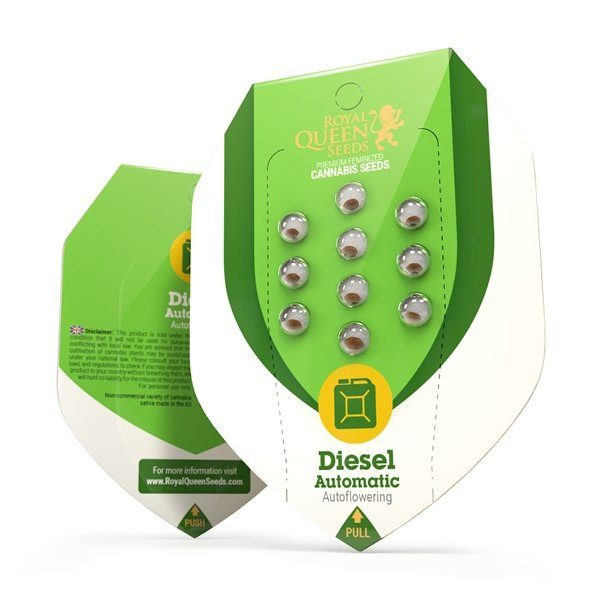 Diesel Automatic - ROYAL QUEEN SEEDS | TanieSianie.pl
