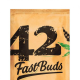 Original Auto Critical - FASTBUDS | TanieSianie.pl