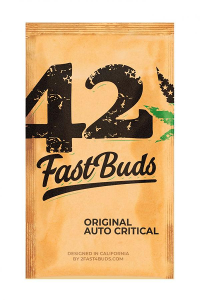 Original Auto Critical - FASTBUDS | TanieSianie.pl