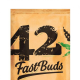 Original Auto Northern Lights - FASTBUDS | TanieSianie.pl