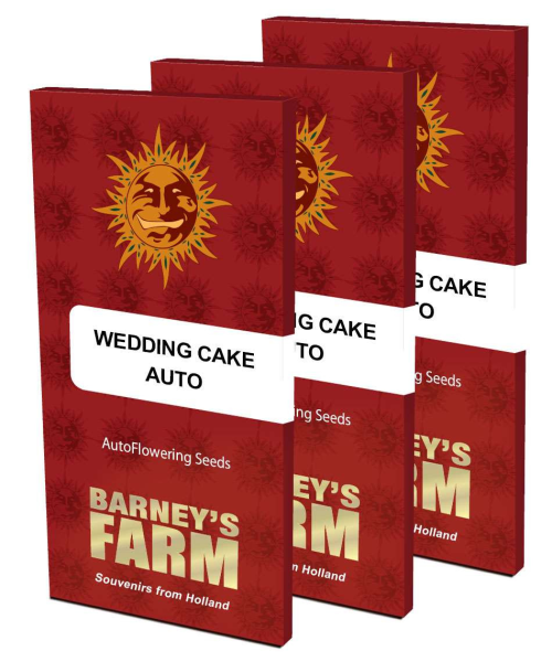 Wedding Cake Auto - BARNEY'S FARM | TanieSianie.pl
