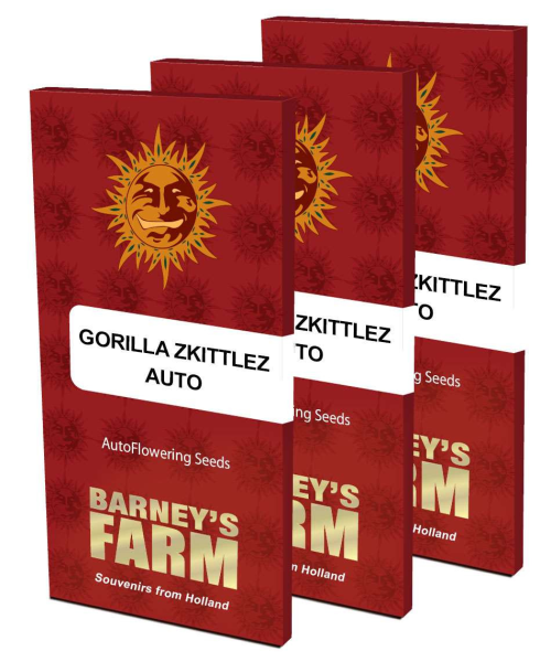 Gorilla Zkittlez Auto - BARNEY'S FARM | TanieSianie.pl