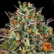 Wedding Cake - BARNEY'S FARM | TanieSianie.pl