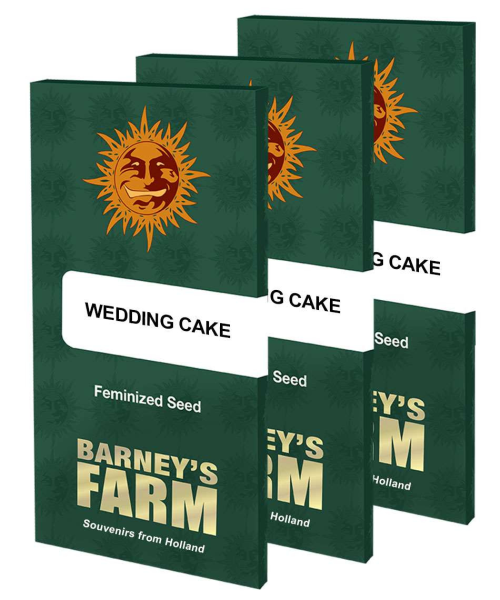 Wedding Cake - BARNEY'S FARM | TanieSianie.pl