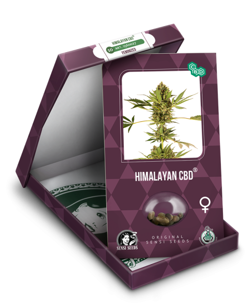 Himalayan CBD - SENSI SEEDS | TanieSianie.pl