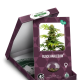 Black Harlequin - SENSI SEEDS | TanieSianie.pl