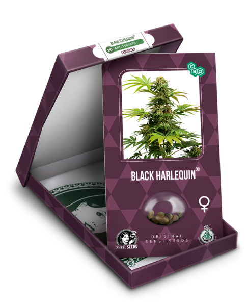 Black Harlequin - SENSI SEEDS | TanieSianie.pl