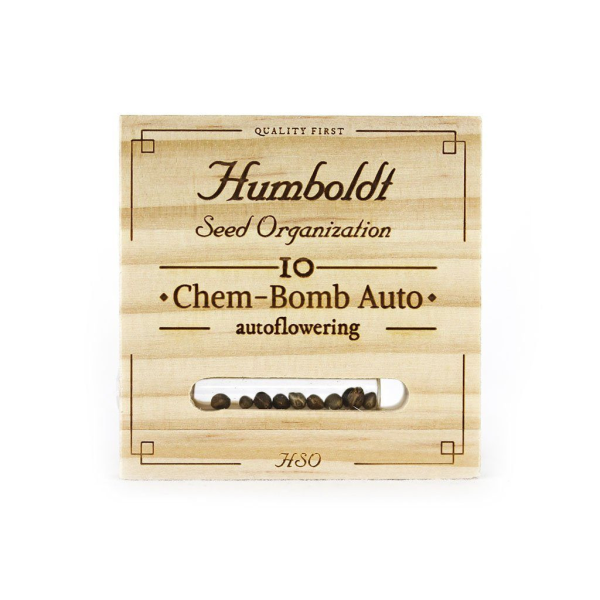 Chem Bomb Auto - HUMBOLDT SEED | TanieSianie.pl