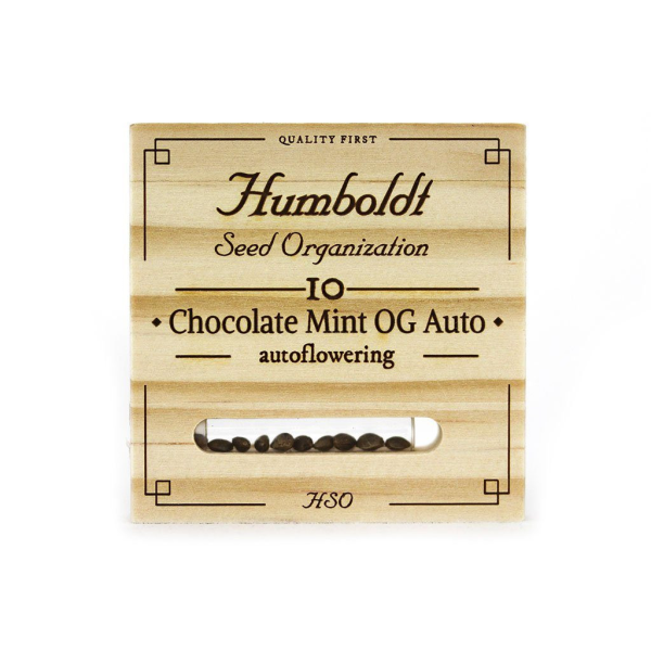 Chocolate Mint OG Auto - HUMBOLDT SEED ORGANIZATION | TanieSianie.pl