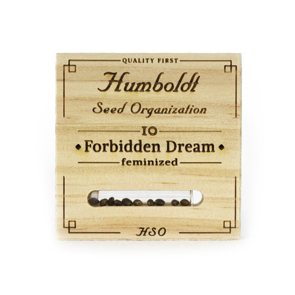 Forbidden Dream - HUMBOLDT SEED | TanieSianie.pl