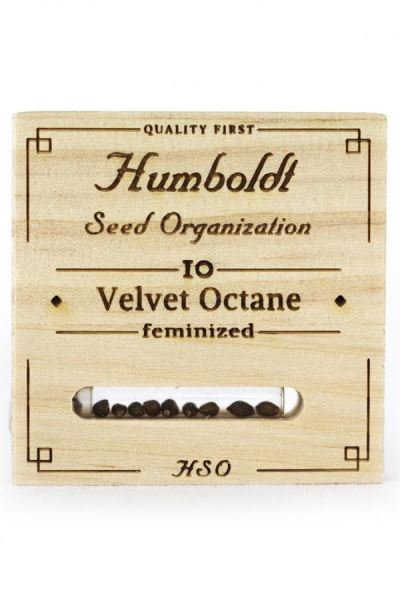 Velvet Octane - HUMBOLDT SEED | TanieSianie.pl