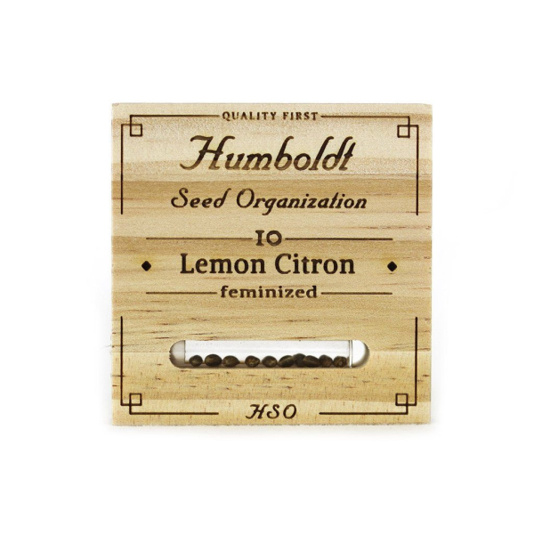 Lemon Citron - HUMBOLDT SEED | TanieSianie.pl