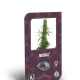 Michka - SENSI SEEDS | TanieSianie.pl