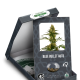 Blue Bullet Auto - SENSI SEEDS | TanieSianie.pl