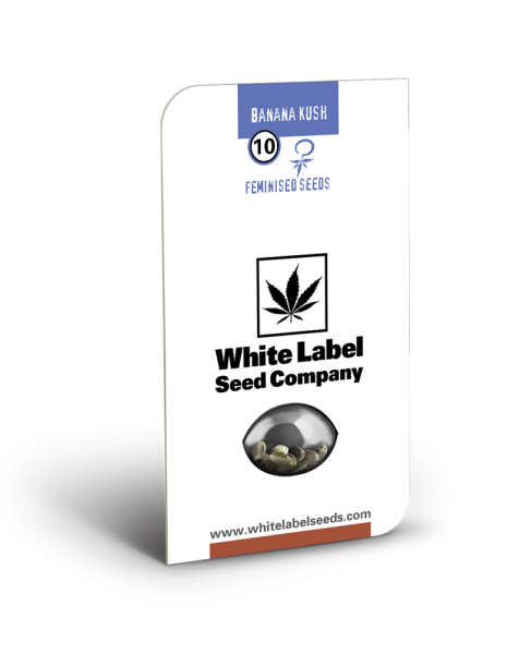 Banana Kush - WHITE LABEL | TanieSianie.pl