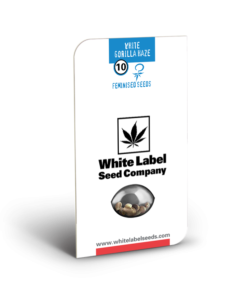 White Gorilla Haze - WHITE LABEL | TanieSianie.pl