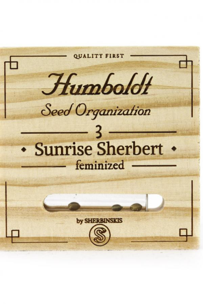 Sunrise Sherbert - HUMBOLDT SEED | TanieSianie.pl