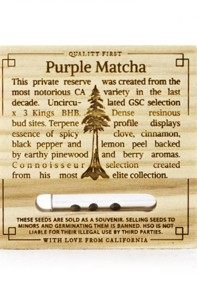 Purple Match - HUMBOLDT SEED | TanieSianie.pl