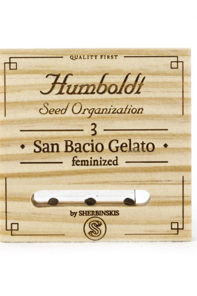 San Bacio Gelato - HUMBOLDT SEED | TanieSianie.pl