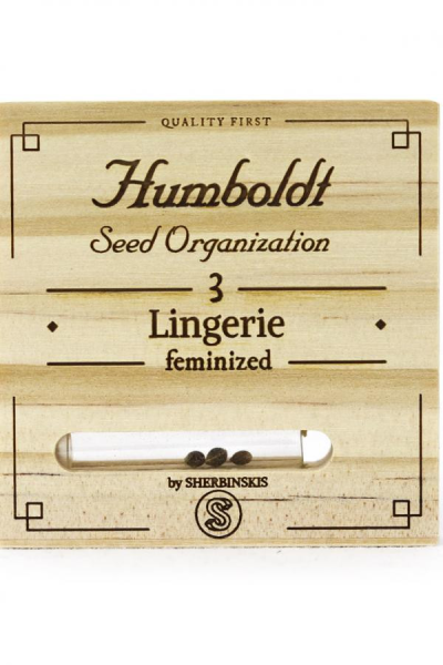 Lingerie - HUMBOLDT SEED | TanieSianie.pl