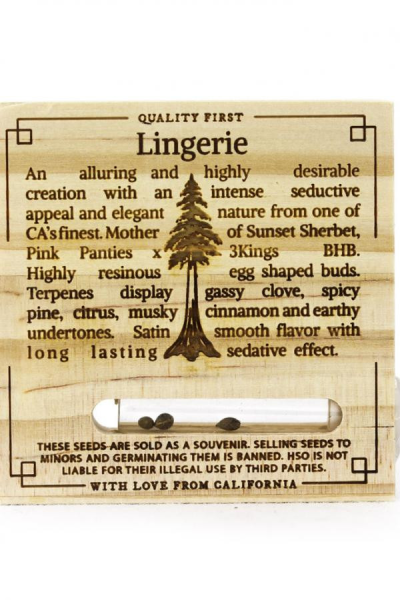 Lingerie - HUMBOLDT SEED | TanieSianie.pl