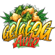Gelat.OG Auto - SEEDSMAN | TanieSianie.pl