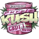 Purple Kush 1:1 Auto - SEEDSMAN | TanieSianie.pl