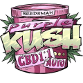Purple Kush 1:1 Auto - SEEDSMAN