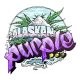 Alaskan Purple - SEEDSMAN | TanieSianie.pl