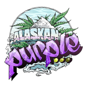 Alaskan Purple - SEEDSMAN | TanieSianie.pl