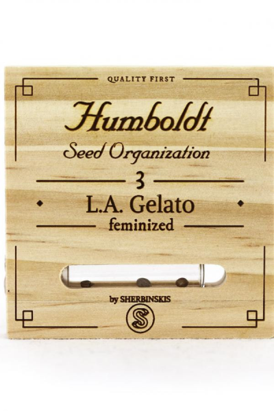 L.A. Gelato - HUMBOLDT SEED | TanieSianie.pl
