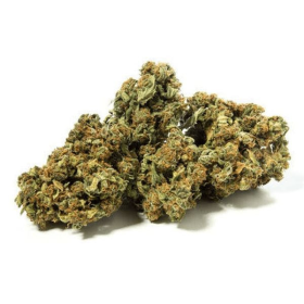 Nasiona RANIA CBD 6-8% THC 0.2-0.3% | TanieSianie.pl