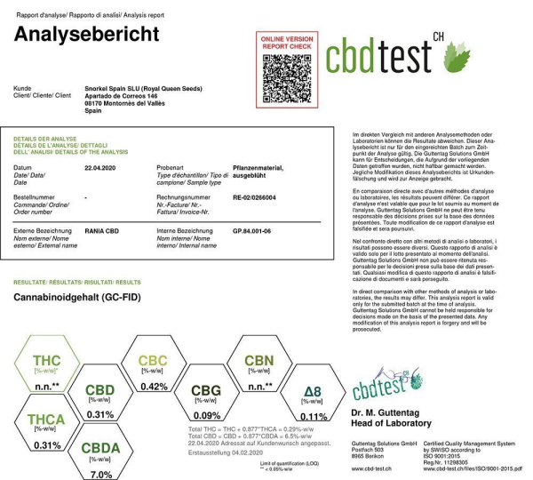 Nasiona RANIA CBD 6-8% THC 0.2-0.3% | TanieSianie.pl