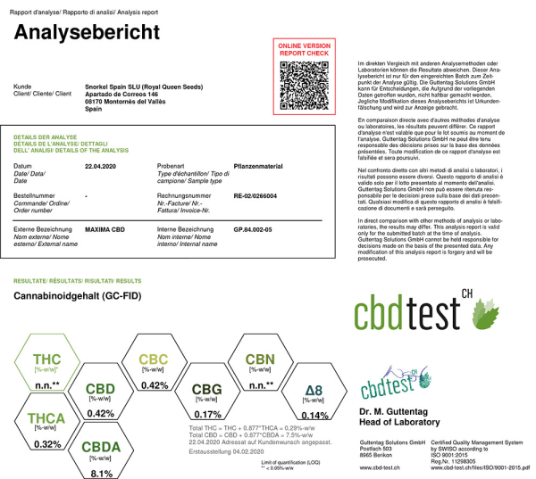 Nasiona MAXIMA CBD 6-8% THC 0.2-0.3% | TanieSianie.pl